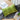 Green Floral Sofa Cushion Pillowcase - Home Decor Square Pillow - DecorOfficial