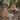 Tactical Hiking Boots - Durable Outdoor Footwear for World Explorers - DecorOfficial