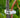 Garden Plant Support Clips - Safe Green Stakes for Plant Growth - DecorOfficial
