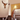 Nordic Bull Head Lamp - Unique Decorative Lighting Fixture - DecorOfficial