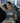 Sarcastic T-Shirt - Of Course I Talk to Myself - DecorOfficial