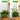 Mini Plant Wall Clips - Self-Adhesive Indoor Plant Holders - DecorOfficial
