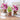 DIY Plantable Doll - Eco-Friendly Plant Head Toy - DecorOfficial
