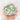 Makeup Puffs - Heavenly Touch Cosmetic Applicators - DecorOfficial