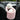 Pet Safe Car Armrest Carrier - Travel Dog Cat Holder - DecorOfficial