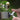 Steel Sickle Head - Sharp Multi-Purpose Grass Cutting Tool - DecorOfficial