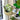 Milo Sloth Hanging Planter - Fun Indoor Plant Decor - DecorOfficial