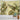 Banana Leaf Tapestry - Psychedelic Boho Wall Decor - DecorOfficial