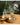 Bow Glass Vase - Elegant Decorative Home Decor - DecorOfficial
