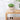 Ceramic Emoji Vase - Fun Decorative Pot - DecorOfficial