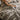 Cozy Soft Throw Blanket - Anna Collection for Ultimate Comfort - DecorOfficial