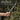 Portable Mini Survival Saw - Multifunctional Folding Tool - DecorOfficial