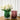 Frozen Glacier Vase - Extreme Ice Sculpture Decor - DecorOfficial