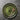 Green Ceramic Dinner Plates - Retro Shallow Pasta Salad Set of 4 - DecorOfficial