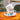 Kids Bone China Dinnerware Set - Plates Bowls Gift for Little Ones - DecorOfficial