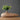 Lucien Decorative Vase Collection - Elegant Home Accents - DecorOfficial