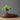 Lucien Decorative Vase Collection - Elegant Home Accents - DecorOfficial