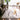 Luxury Carpet - Lucius Collection Area Rug - DecorOfficial