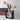 Modern Glass Vase - Decorative Spectra Vase - DecorOfficial
