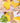 Pasta Maker - Multifunctional Noodle Kitchen Gadget - DecorOfficial