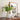 Pleated Ceramic Vase - Elegant Home Decor Accent - DecorOfficial
