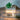 Cactus Ultrasonic Humidifier - Stylish Air Moisturizer - DecorOfficial