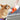 Portable Dog Water Bottle - Travel Hydration for Pets - DecorOfficial