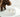 Slow Feeder Dog Bowl - Anti-Gulp Pet Dish for Healthy Eating - DecorOfficial