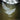 Eagle Chandelier - Luxury Bird-Inspired Lighting Fixture - DecorOfficial