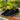 Classic Mens Breathable Knit Shoes - Comfortable Casual Footwear - DecorOfficial