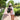 Bird Carrier Backpack - Space Capsule Travel Cage for Pet Birds - DecorOfficial