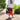 Bird Carrier Backpack - Space Capsule Travel Cage for Pet Birds - DecorOfficial