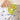 Weekly Pill Organizer Set - 2 Rotating Medication Boxes - DecorOfficial