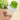 Creative Oil Brusher for Cooking - DecorOfficial