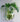 Wall Mounted Fish Tank Flower Vase - Transparent Aquarium Decor - DecorOfficial