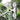 Rotating Window Cleaner Mop - Long Reach Tool for Easy Cleaning - DecorOfficial