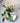 Wall Mounted Fish Tank Flower Vase - Transparent Aquarium Decor - DecorOfficial