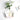Hydroponic Wall Vases - Decorative Glass Plant Holders - DecorOfficial