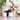 Portable Pet Paw Washer - Easy Foot Cleaner for Dogs Cats - DecorOfficial