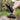 Minimalist Five Toe Shoes - Anti-Skid Fitness Footwear - DecorOfficial