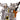 3 Mini Musician Cats Modern Sculpture - DecorOfficial