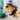 Pet Riding Helmet - Stylish Safety Gear for Pets - DecorOfficial