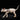 Hairless Cat Figurine - Decorative Tattooed Cat Statue - DecorOfficial