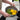 Multifunctional Kitchen Drainer Tool Set - 5-Piece Kitchen Gadget - DecorOfficial