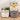 Space Saver Fridge Organizers - Container Storage Solutions for Smart Kitchen Storage - DecorOfficial