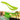 Cake Pie Slicer - Precision Cutting Tool for Desserts - DecorOfficial