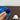 Pet Bath Massager - 2-in-1 Grooming and Relaxation Tool - DecorOfficial