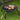 Portable Foldable Fire Pit Grill - Outdoor BBQ Burner - DecorOfficial