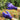 Garden Claw Gloves - Rubber Gardening Gloves with Claw Tips - DecorOfficial