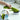 Multi-Function Liquid Dispenser Brush - Cleaning Tool - DecorOfficial